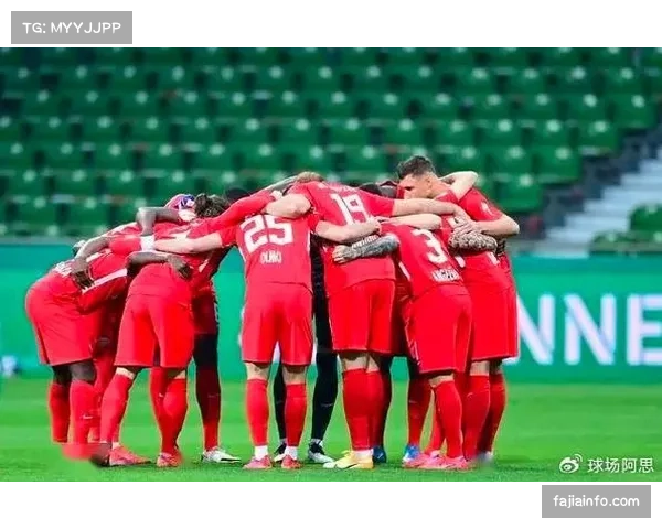 海登海姆vs波鸿比赛因客队球迷向场内投掷烟火短暂中断